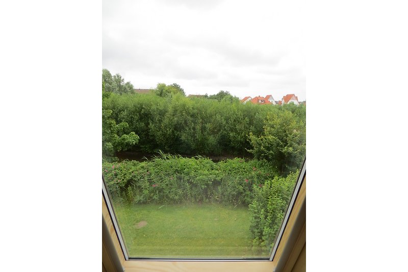View from the bedroom