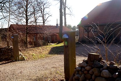 Ferienhaus -Am alten Schafstall