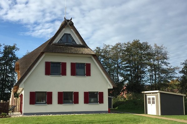 Ferienwohnung & Ferienhaus Ostsee Mieten