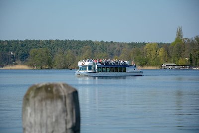 Ferienhaus Langfristvermietung