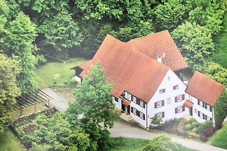 Ferienhaus Schwarzwald und mehr