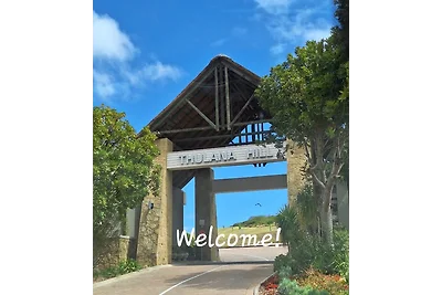 26  Thulana Hill