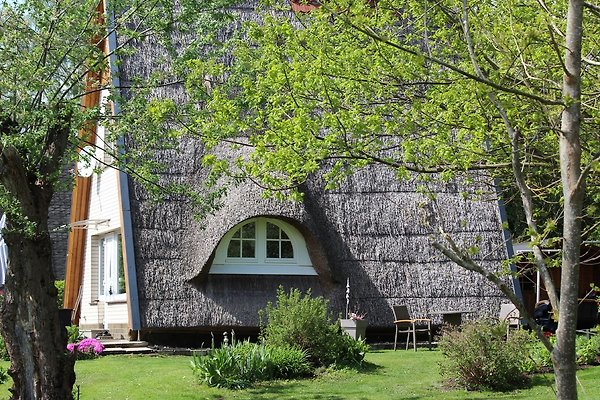 Ferienhaus Warnow