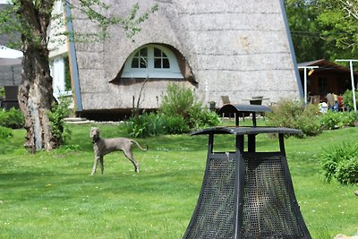 Huis met rieten dak direct aan het water 1600m²