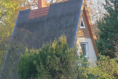 Casa con tejado de paja directamente sobre el agua 1600m2