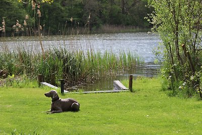 Huis met rieten dak direct aan het water 1600m²