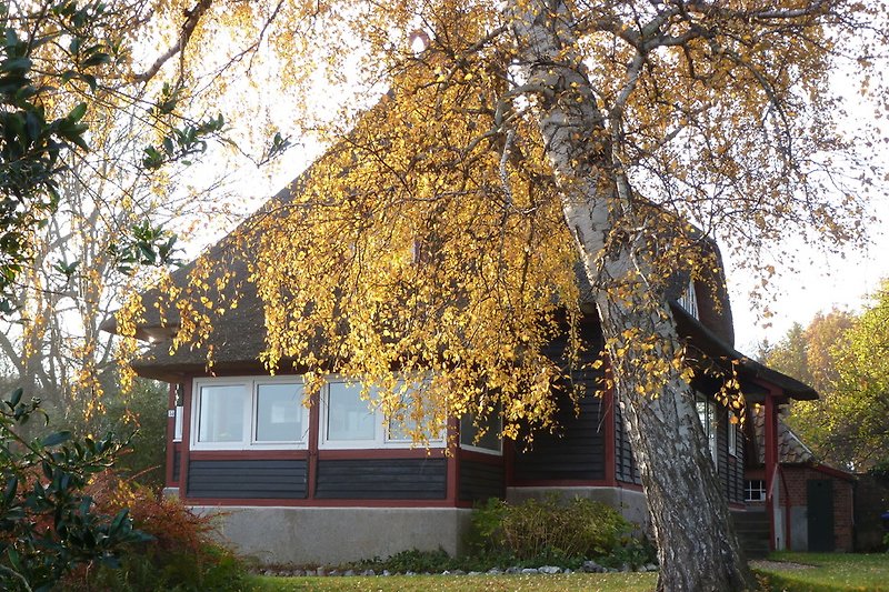 House Godewind in Autumn