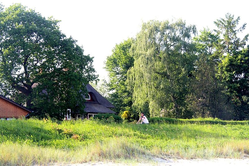 View of the house with garden and trees from the beach