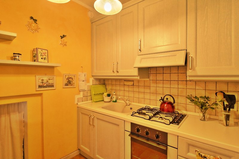 Küche mit Gasbrennern, Elektroherd, Spüle, Geschirrspüler, Kühlschrank