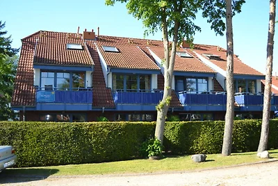 Fewo Bernsteinkieker Papillon 18/7