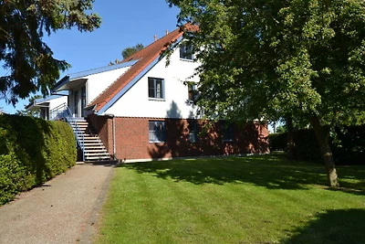 Fewo Bernsteinkieker Papillon 18/7