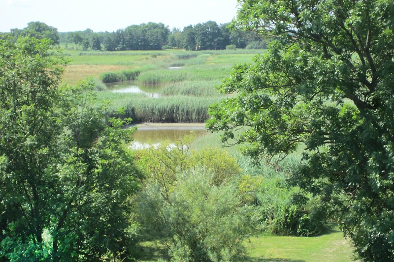 Hinterer Garten und angrenzende Siele