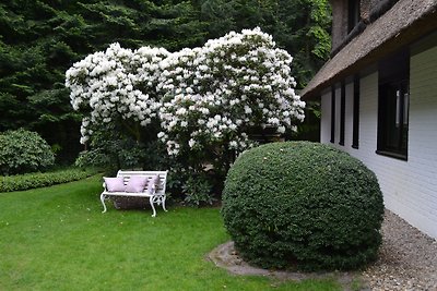 Villa am Mühlenbach-FW-Romantik
