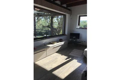 Chalet sul lago