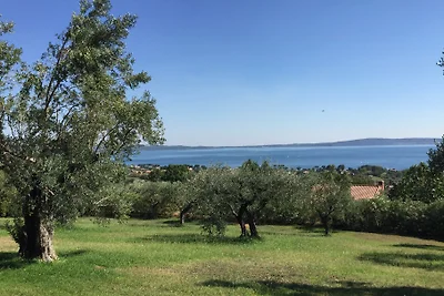 Chalet sul lago