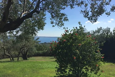 Chalet sul lago