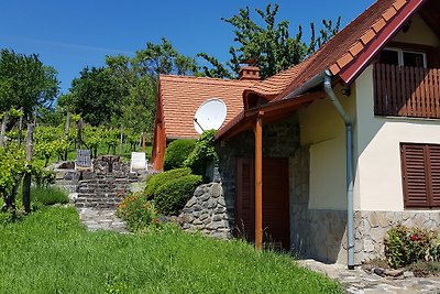 Dom wakacyjny Kisapati nad jeziorem Balaton