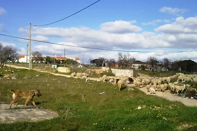 QUINTA DA PRAIA CRASTOS