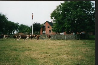 Haus Ilka mit DSL-Anschluß