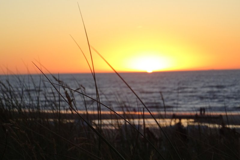 Sonnenuntergang am ruhigen Strand mit rotem Himmel.