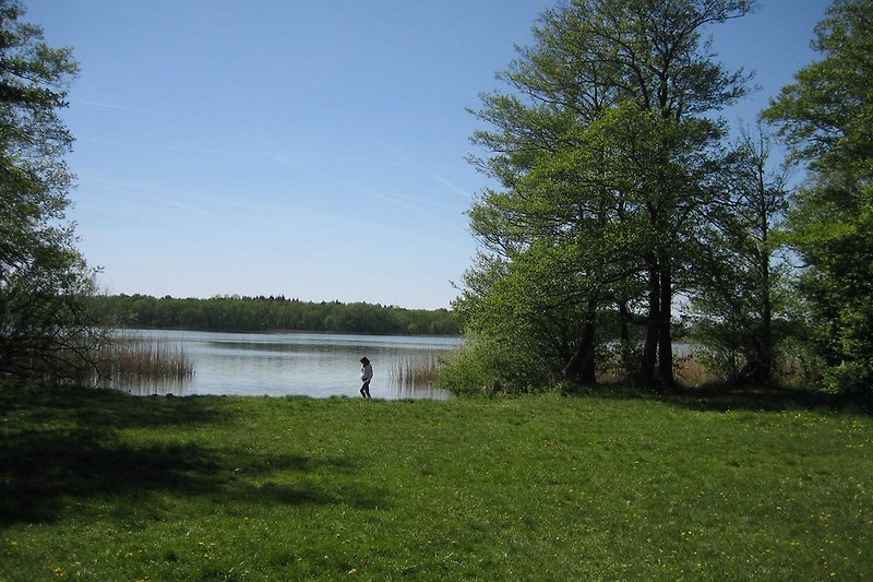 Prairie de baignade au lac Plessower