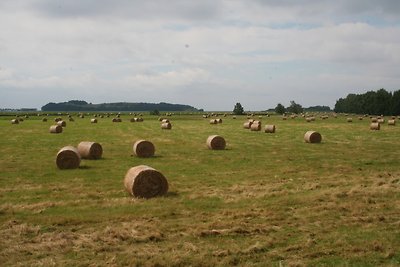 Finnhütte Elisabeth