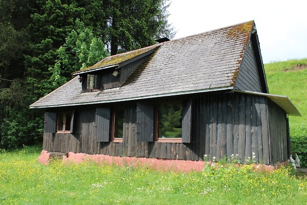 Hütte Titisee-Neustadt
