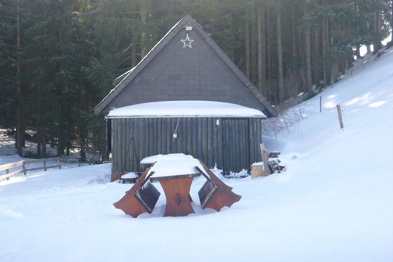 Winterlandschaft mit verschneitem Haus, umgeben von Bäumen und einem Zaun. Gemütliche Hütte am Hang.