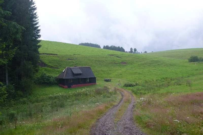 Anfahrtsweg zur Hütte ca 200m Schotterweg