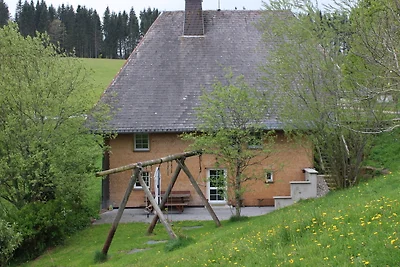 Ferienhütte Hisli
