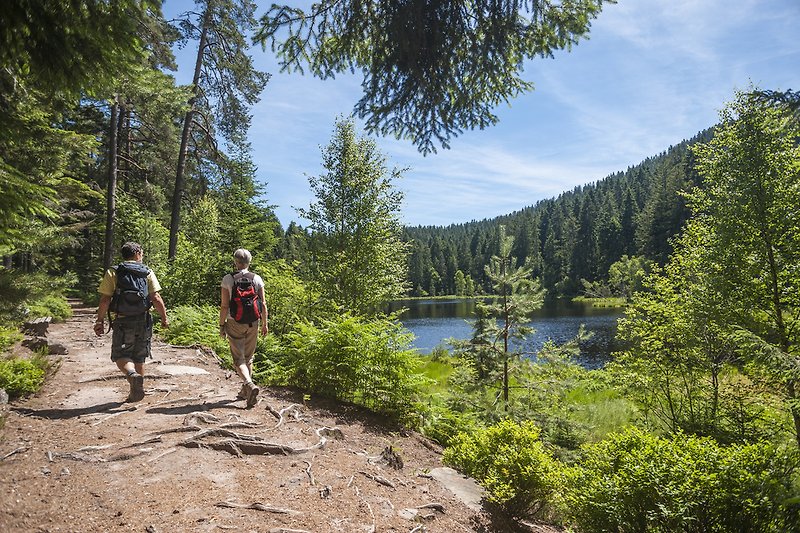 Wanderparadies Bayerischer Wald