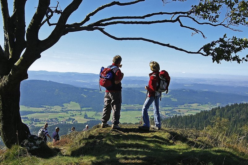 Wanderparadies Bayerischer Wald