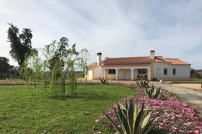 Estrela do Cerro
