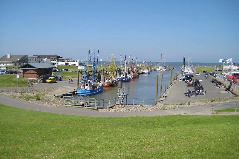 Kutterhafen 