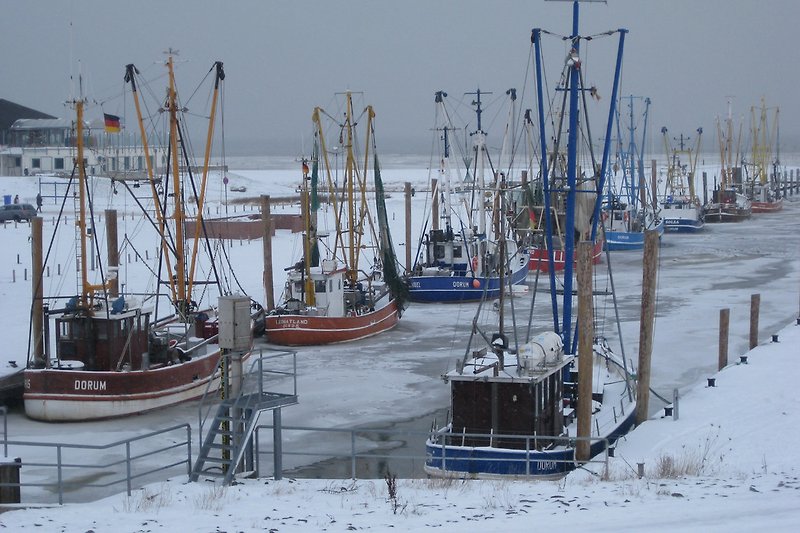 Kutterhafen im Winter