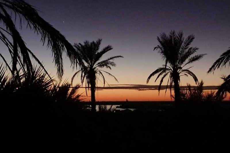 Sonnenuntergang über dem Meer mit Palmen und rotem Himmel.
