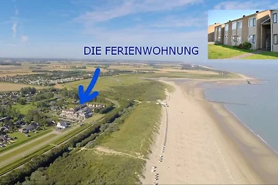 An den Dünen von Nieuwvliet-Bad