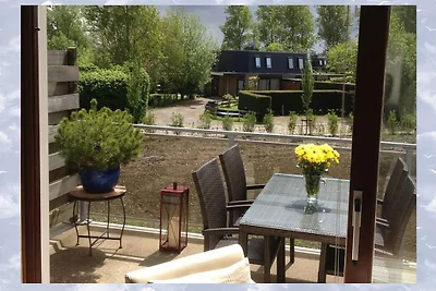 An den Dünen von Nieuwvliet-Bad