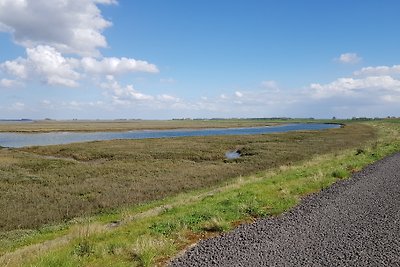 vakantiehuis in Zeeland