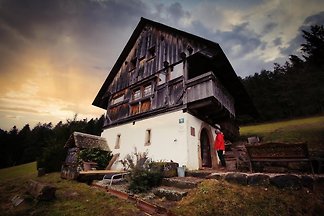 Natur pur  im Ferienhaus