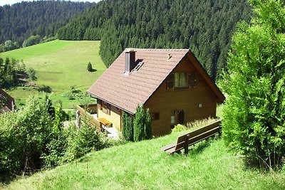 Vakantiehuis Ontspannende vakantie Alpirsbach