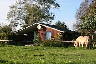 Ferienhaus auf dem Bauernhof