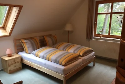 Ostseehaus-Strandkiefer