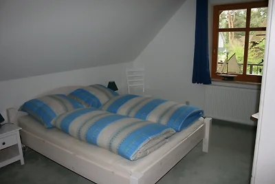 Ostseehaus-Strandkiefer