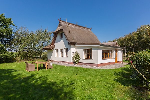 Ferienhaus Dierhagen