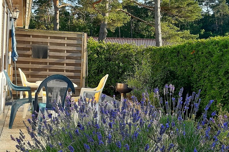 Garten mit Lavendel, Gartenmöbeln und blühenden Pflanzen.