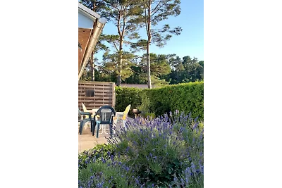 Vista sulla foresta