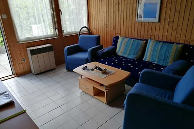 Uitzicht op het bos