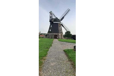 Uitzicht op het bos