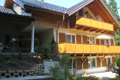 Ferienhaus Villa-Wallersee